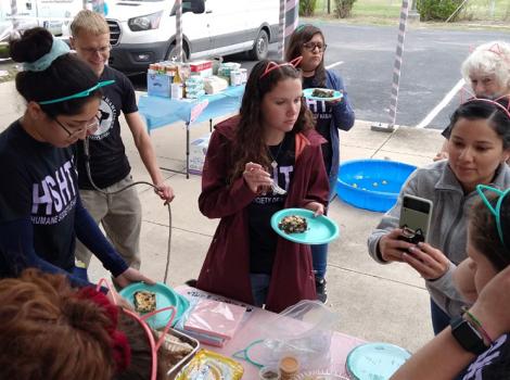 Group of people celebrating outside, one eating cat and multiple wearing cat ears